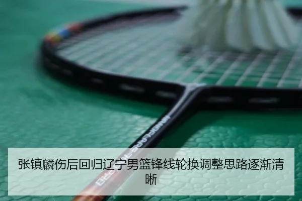 张镇麟伤后回归辽宁男篮锋线轮换调整思路逐渐清晰